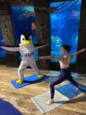 Yoganahata - Cours yoga Sealife - Nolwen Capitaine (12)